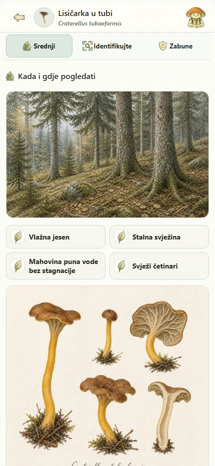 Tabele o vrstama