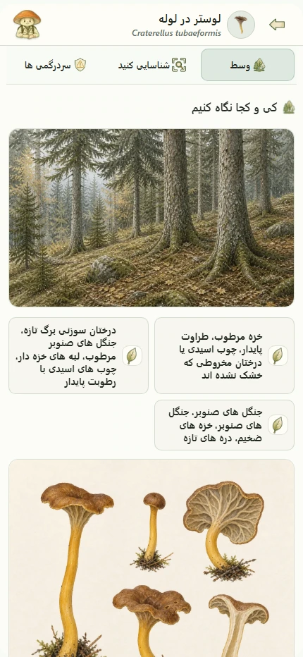 برگ گونه