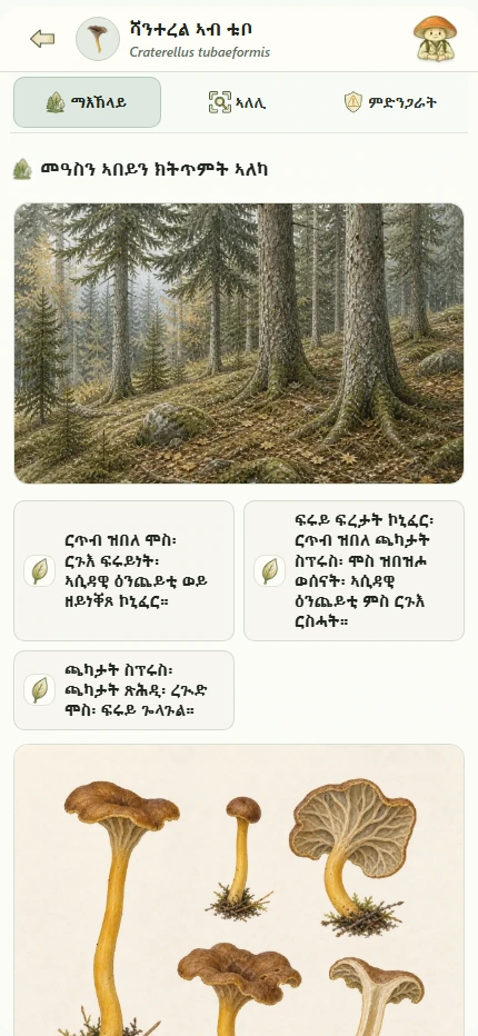 ዓሌታት ወረቓቕቲ
